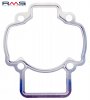 Cylinder gasket RMS 100702300