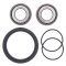 Wheel bearing and seal kit All Balls Racing