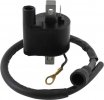 Ignition coil ARROWHEAD IPO0001