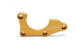 Crankcase Protector (Pick-Up) 4RACING CM028DX Gold