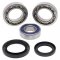 Differential Seal Kit All Balls Racing